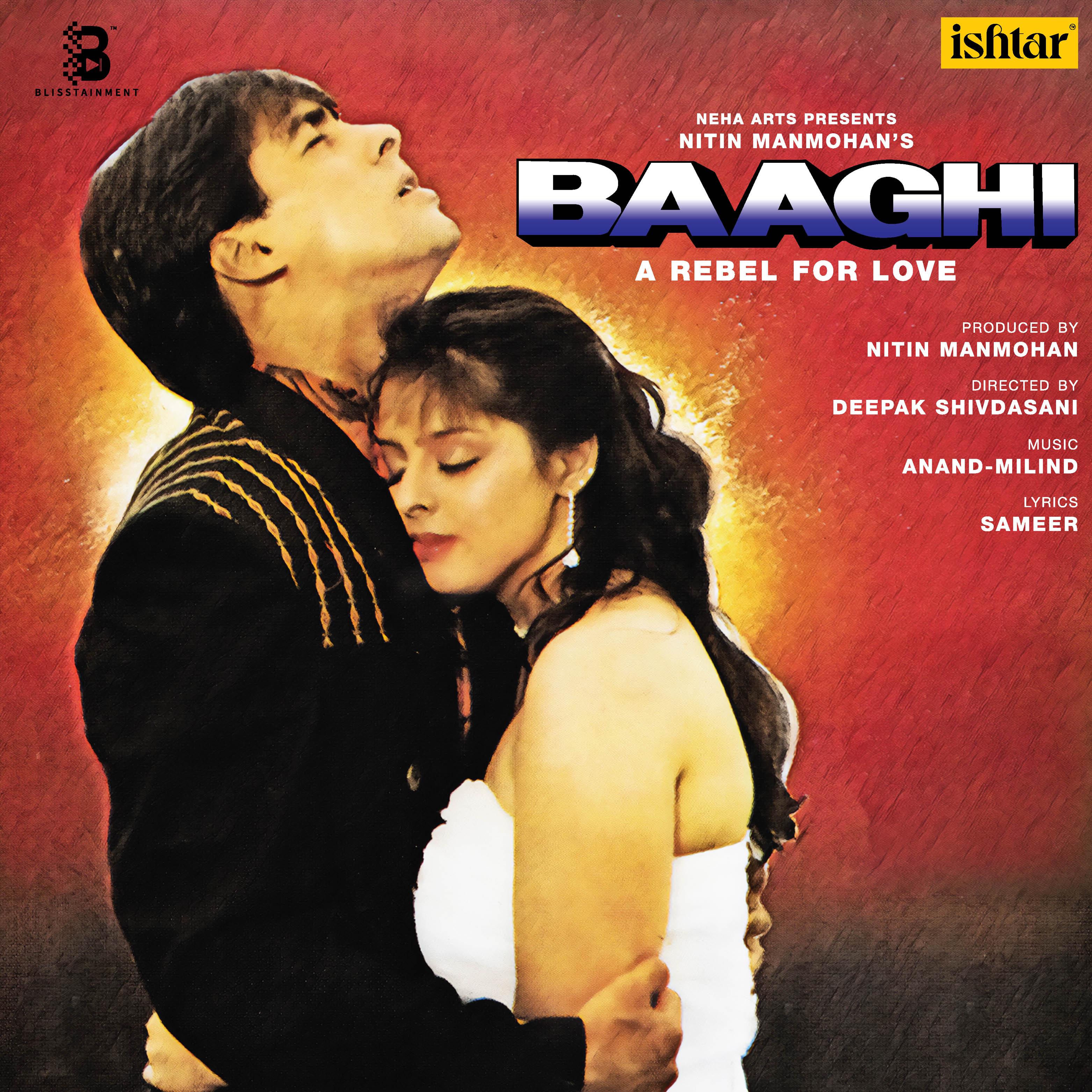 BAAGHI - VINYL RECORD alt