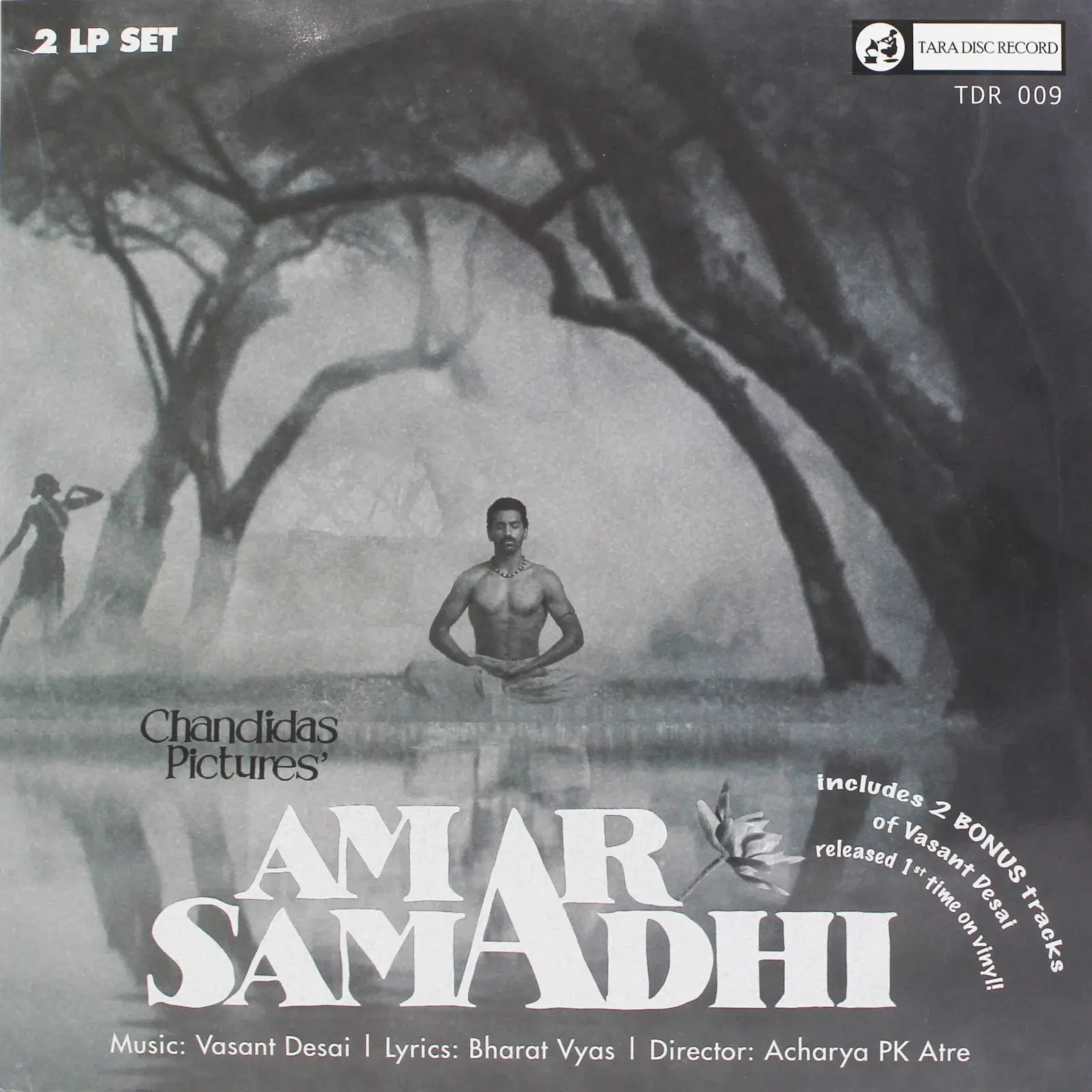 AMAR SAMADHI 2LP SET - VINYL RECORD