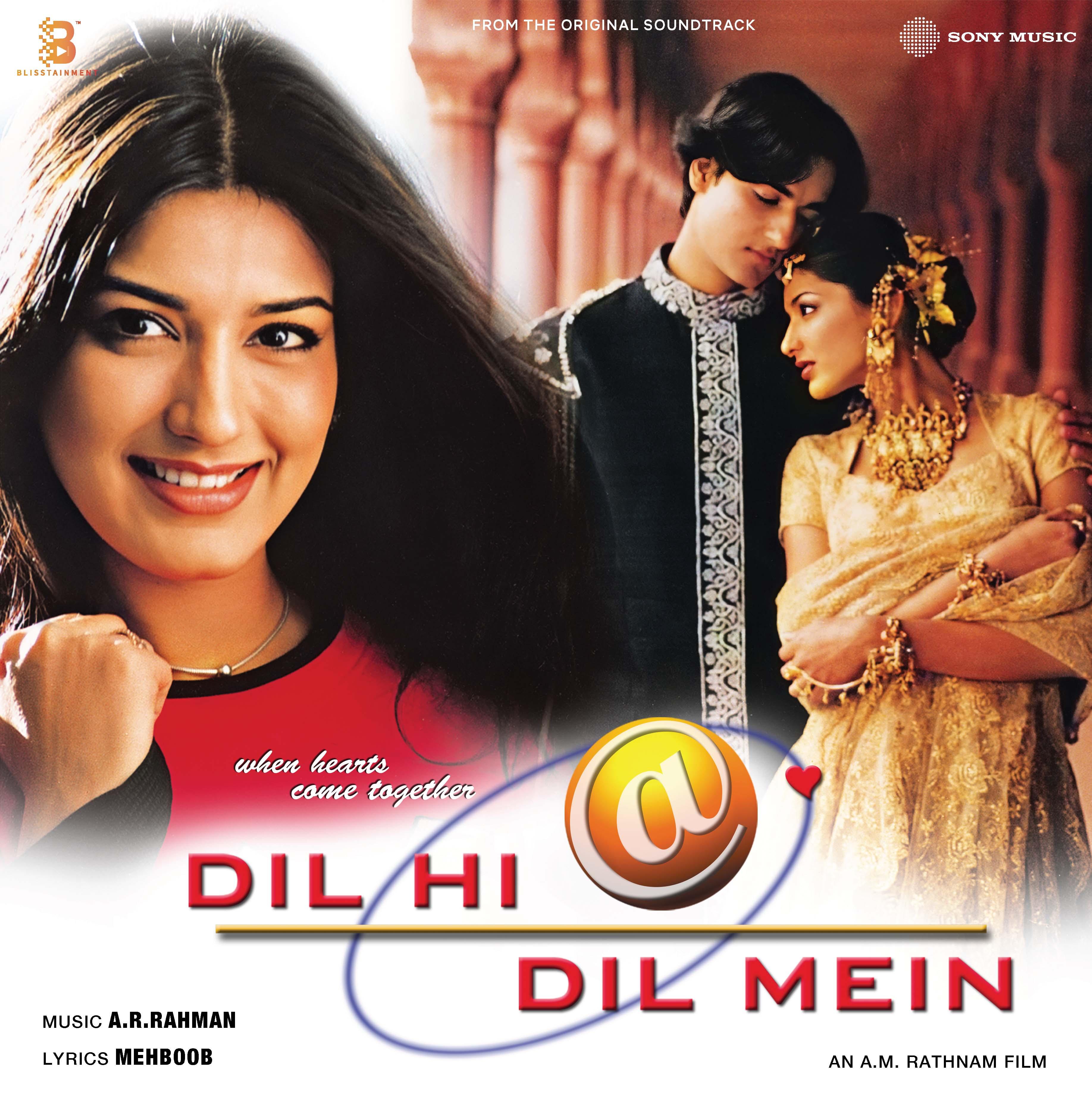 DIL HI DIL MEIN - VINYL RECORD alt