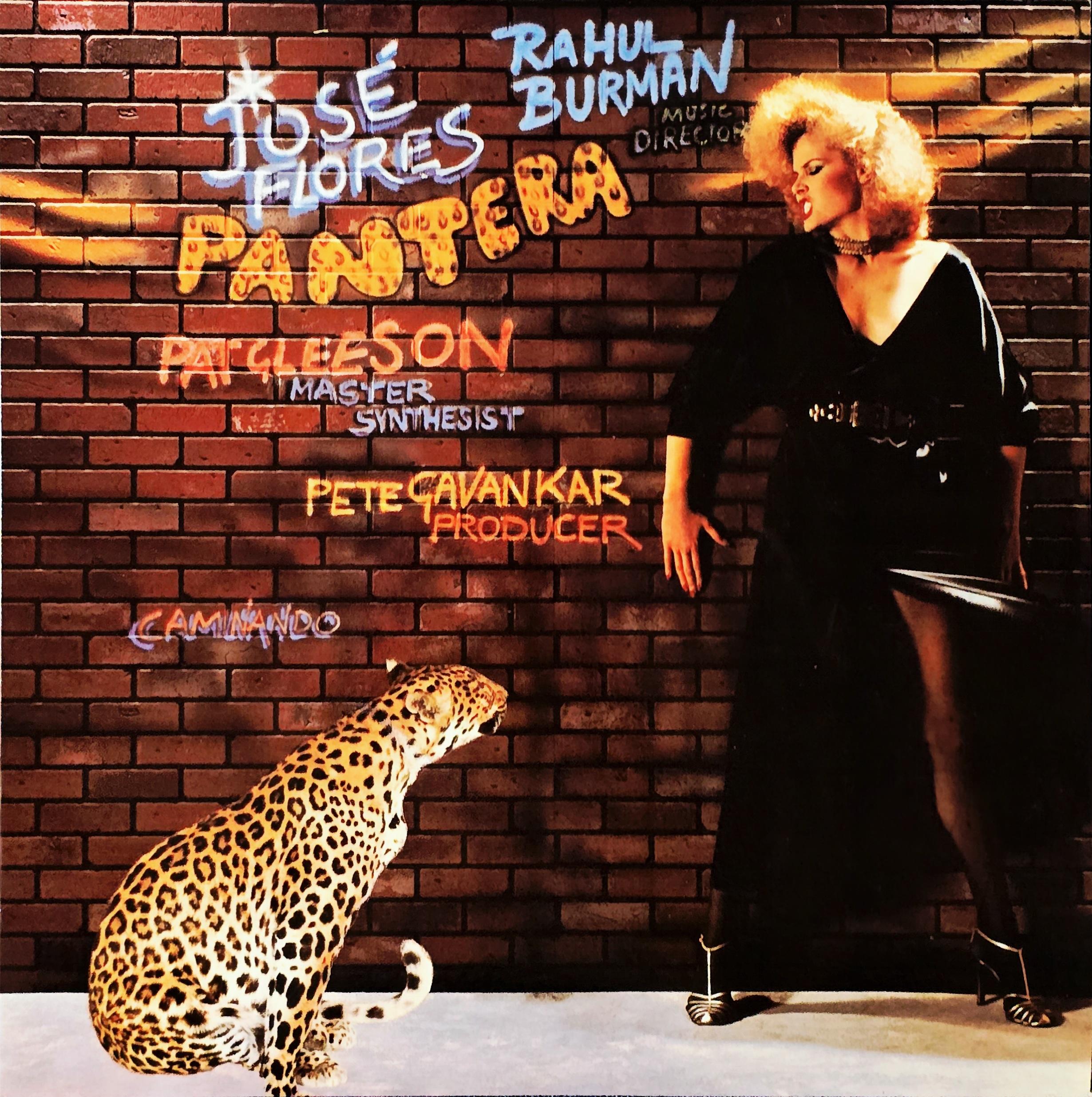 PANTERA BY JOSE FLORES & RD BURMAN - VINYL RECORD