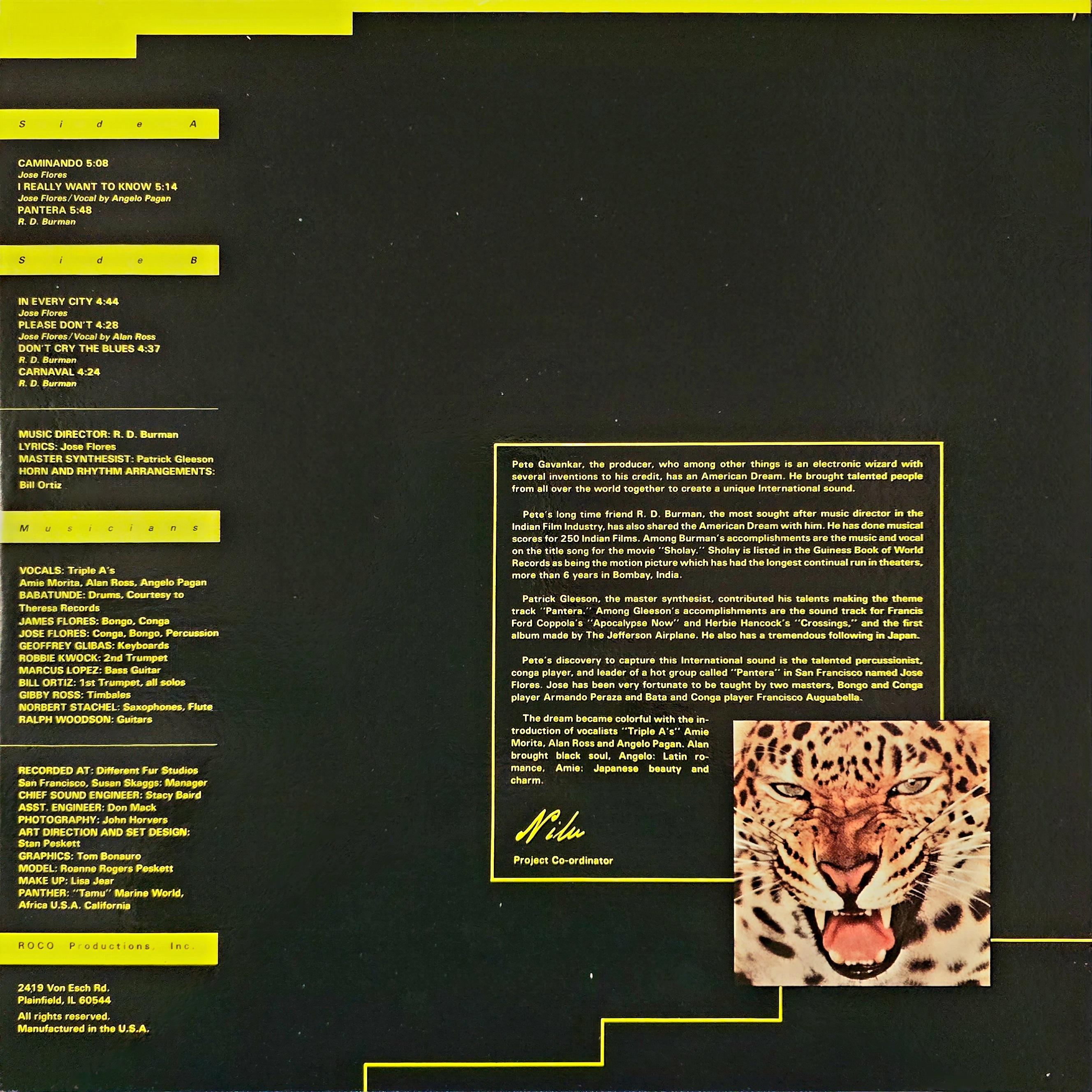 PANTERA BY JOSE FLORES & RD BURMAN - VINYL RECORD alt